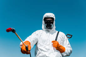 Best Fumigation Services  in Woods Cross, UT